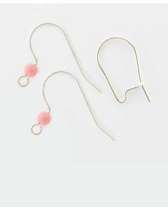 Silver Safety Ear Wires